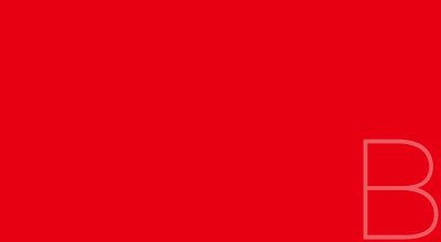 購物網(wǎng)站開發(fā)