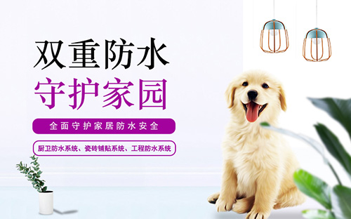 佳帝涂料